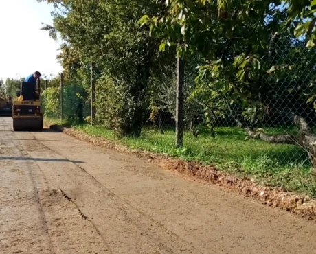 Sradasterrata Sradasterrata